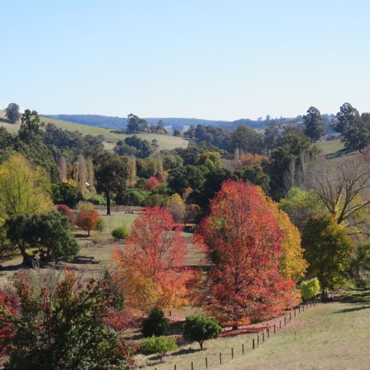 Golden Valley Tree Park