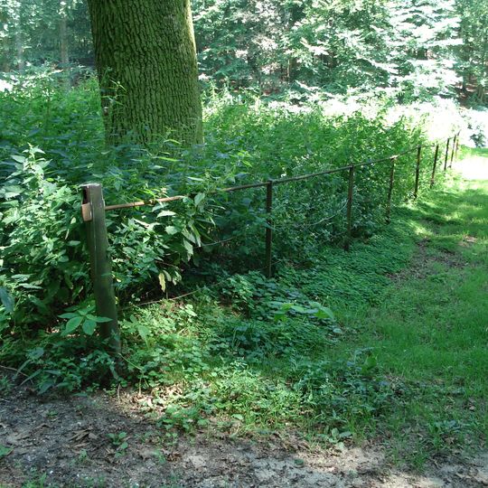 Zypendaal: weidehekken