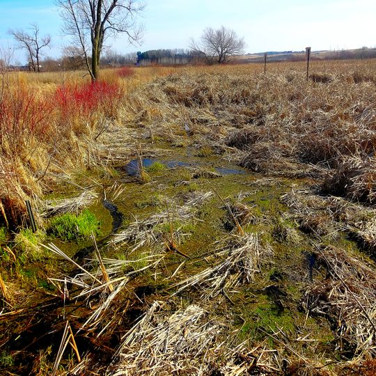 Capital Springs State Recreation Area