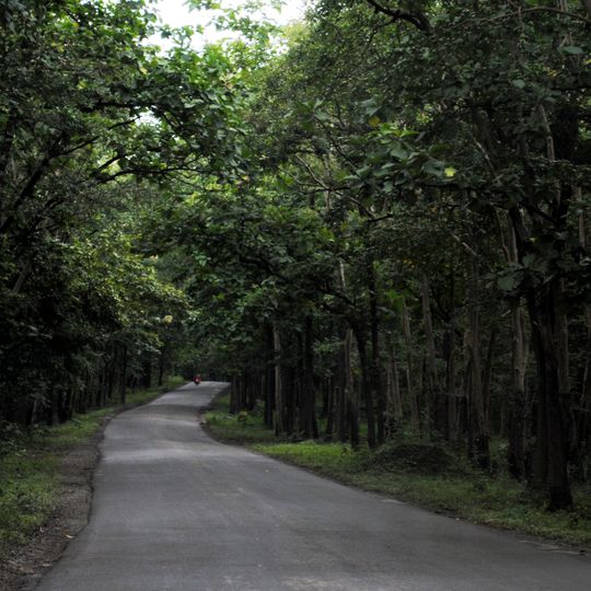 Kali Tiger Reserve