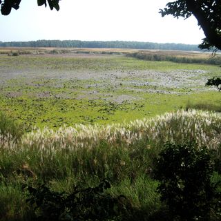 Parque nacional Shuklaphanta
