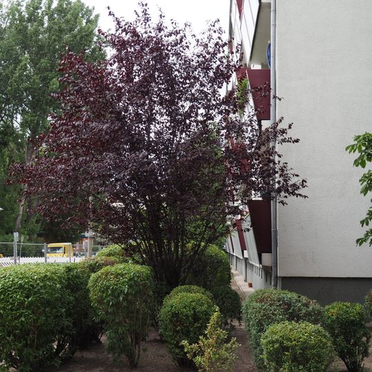 Rotdorn Fürstenwalder Straße 16-19