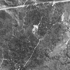 Katyn Forest