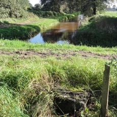 Peel-Raamstelling, restanten, grotendeels ondergronds, van twee G-type kazematten