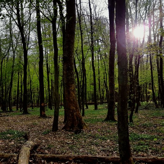 Landschaftsschutzgebiet Stadt Darmstadt