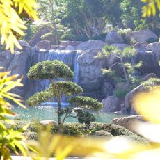 Japanese Friendship Garden