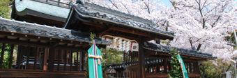 Kitano Tenman Shrine Profile Cover