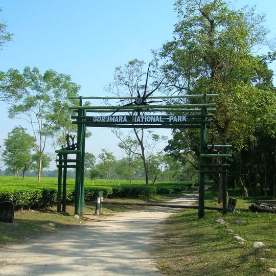 Parco nazionale di Gorumara