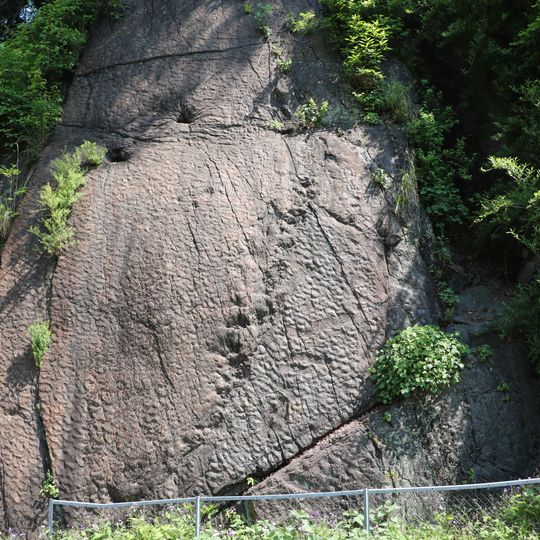 Sebayaşi xəfif ləpə nişanələri