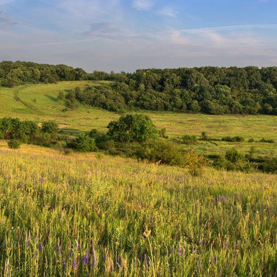 Vyshnevskyi Nature Reserve