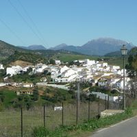 Algar
