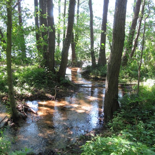 Naturdenkmal Quellen am Springsee  in Limsdorf
