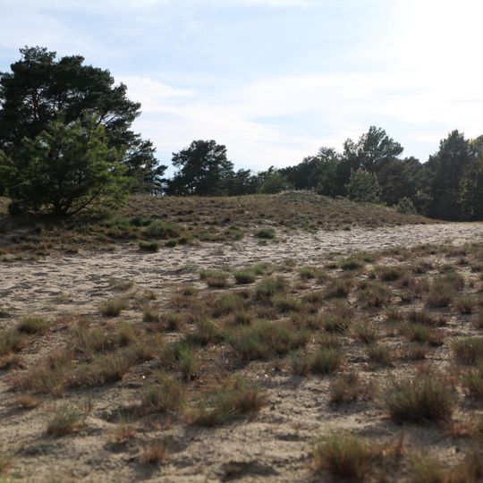 Naturdenkmal Düne Heideweg
