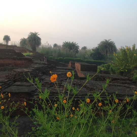 Udham Singh Nagar district