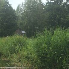 Bovenwijde 6,  8355BR  Giethoorn