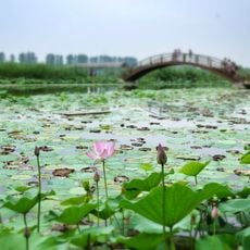 Baiyang Lake