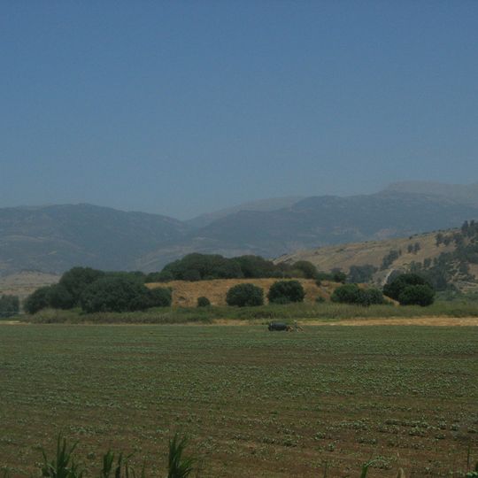Tel Anafa