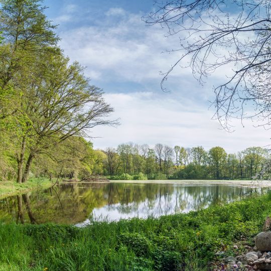 Wide pond Wellerswalde