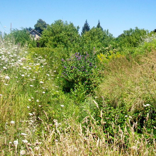 Théâtre antique de Meaux