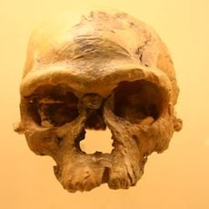 Djebel Irhoud
