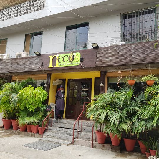 N'eco's Natural Store & Cafe