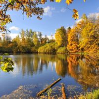 Садки (Москван область)