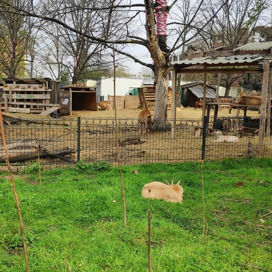 Bergerie des Malassis