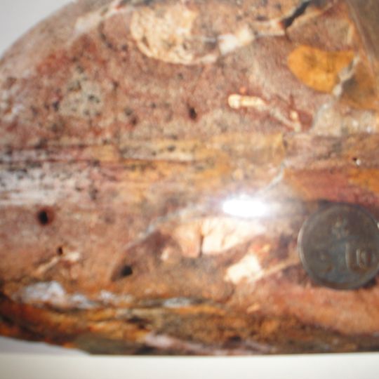 Angwa Sandstone Formation