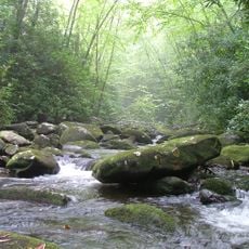 Cherokee National Forest