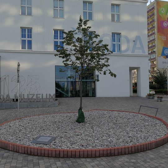 Lípa republiky u Laurina a Klementa v Mladé Boleslavi