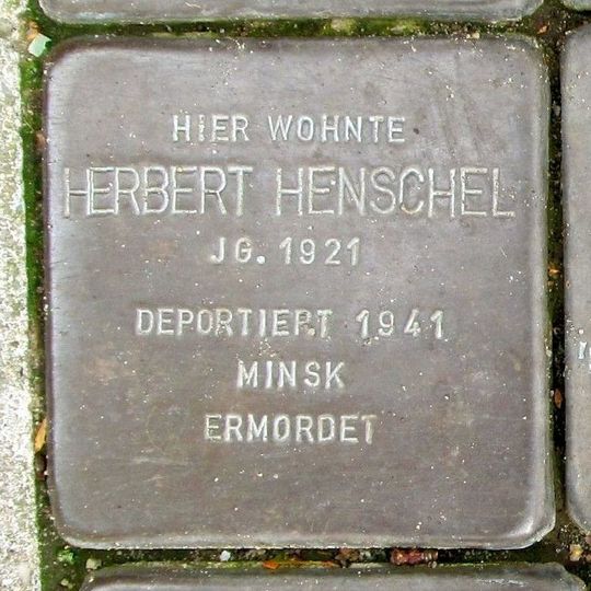 Stolperstein für Herbert Henschel