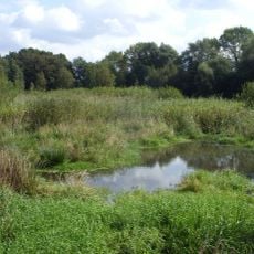 Ruschdahlmoor (Lesumer Moor)
