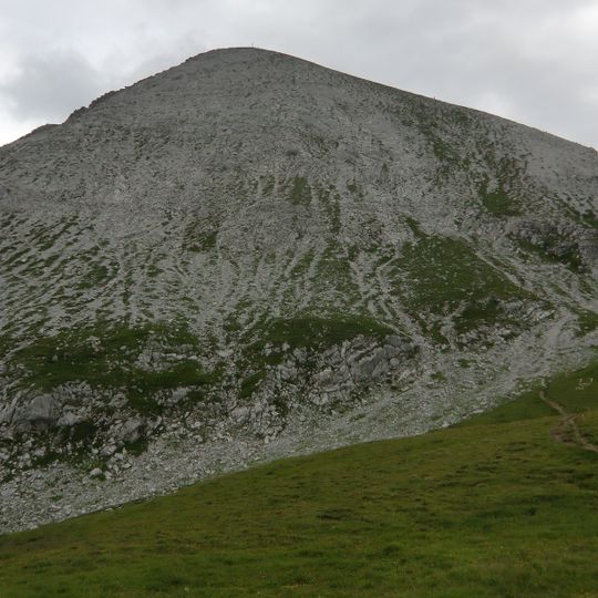 Grießkopf