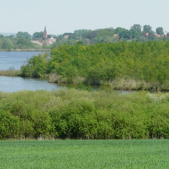 Schollener See