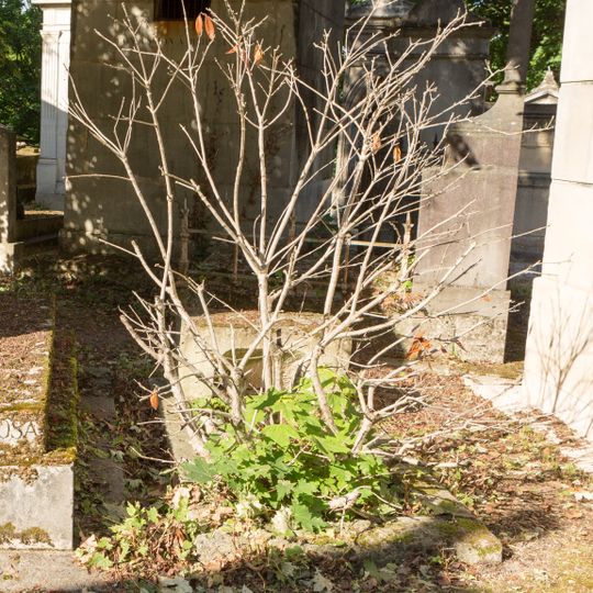 Grave of Unidentified 10