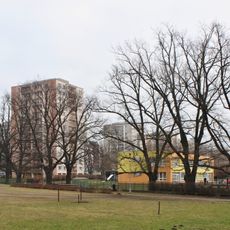 Stromořadí 22 ks dubů letních