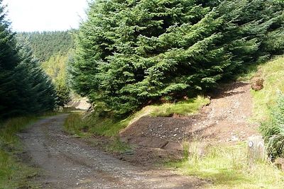 Immagine alternativa