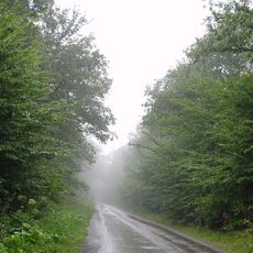 Forêt de Rihoult Clairmarais