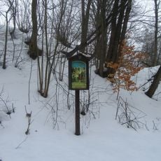 Křížová cesta u Olšan - 6. zastavení