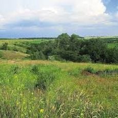 Tuhanivs'kyy Zakaznyk