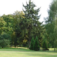 Ogród (park leśny)
