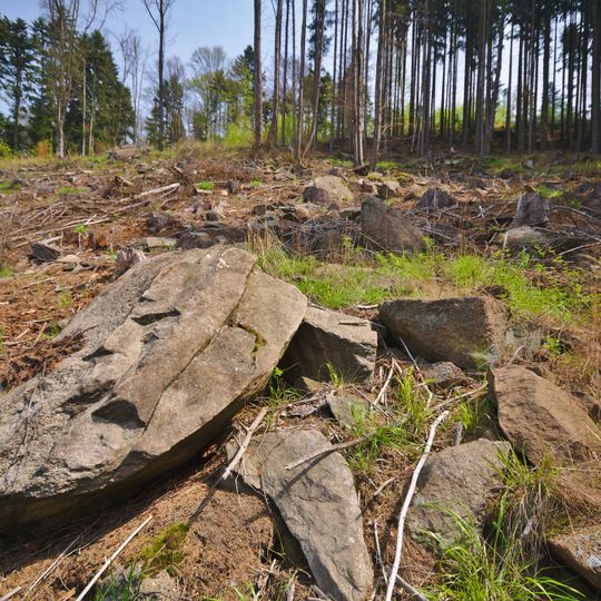 Kamenné proudy u Domašova