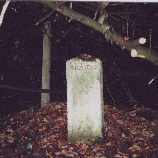 Milestone, Brighton Road, nr Tadworth Court