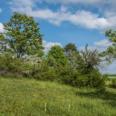 Trockenhänge bei Böttigheim (1)