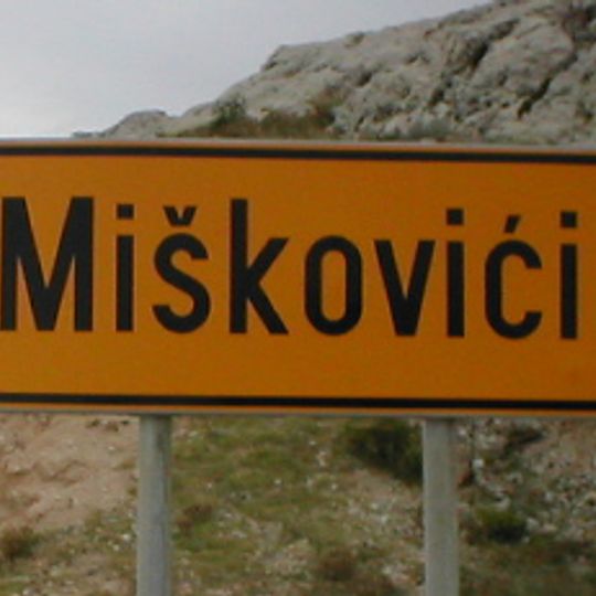 Miscovizzi