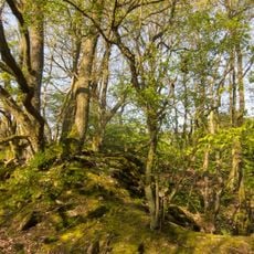 Naturschutzgebiet Ebental bei Rüdesheim