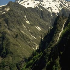 Mädelekopf