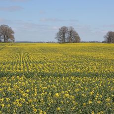 Großsteingräber von Gnewitz