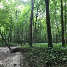 Clear Creek Forest Provincial Park