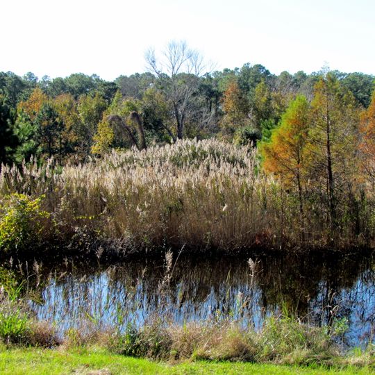 Mattamuskeet National Wildlife Refuge